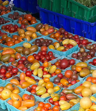 Dulang makanan plastik